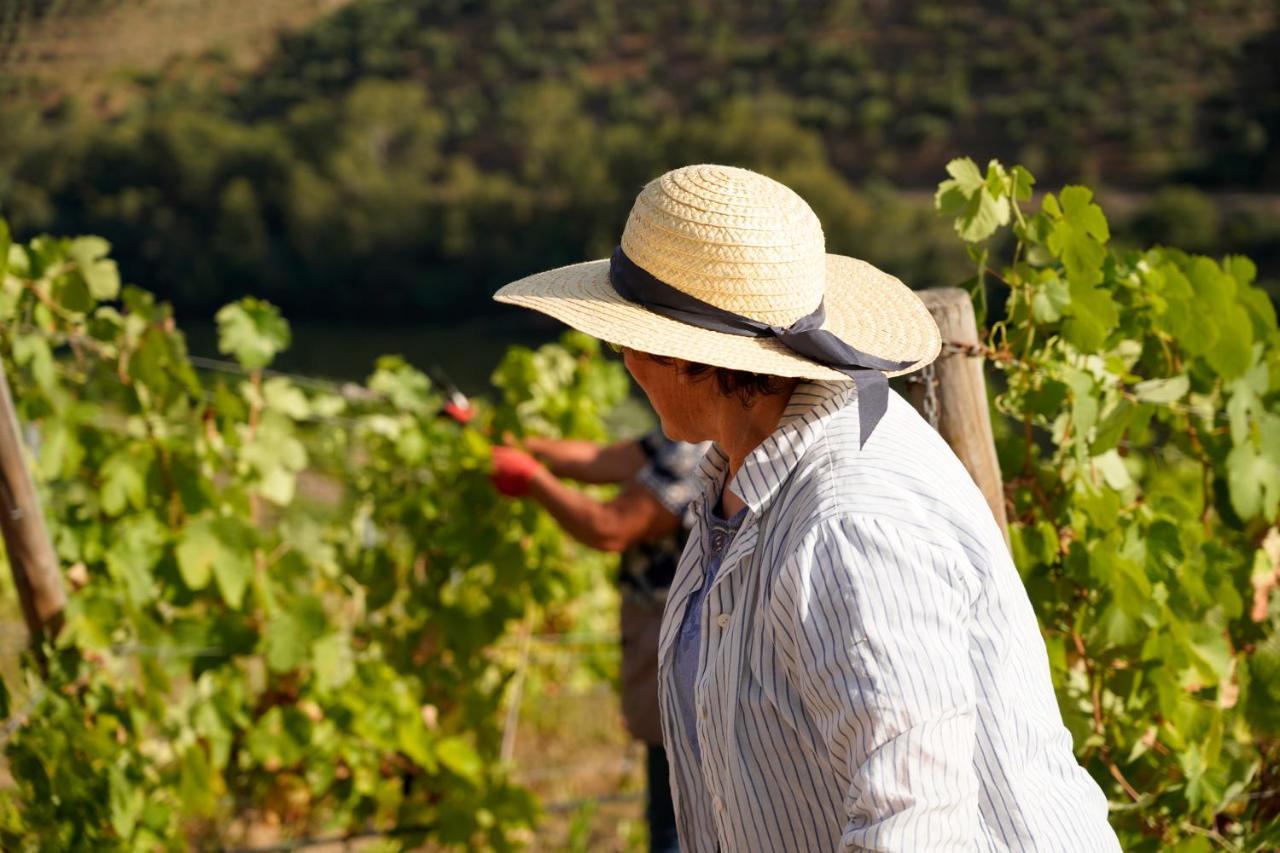 Quinta De S. Jose - Turismo Rural Ervedosa do Douro Экстерьер фото